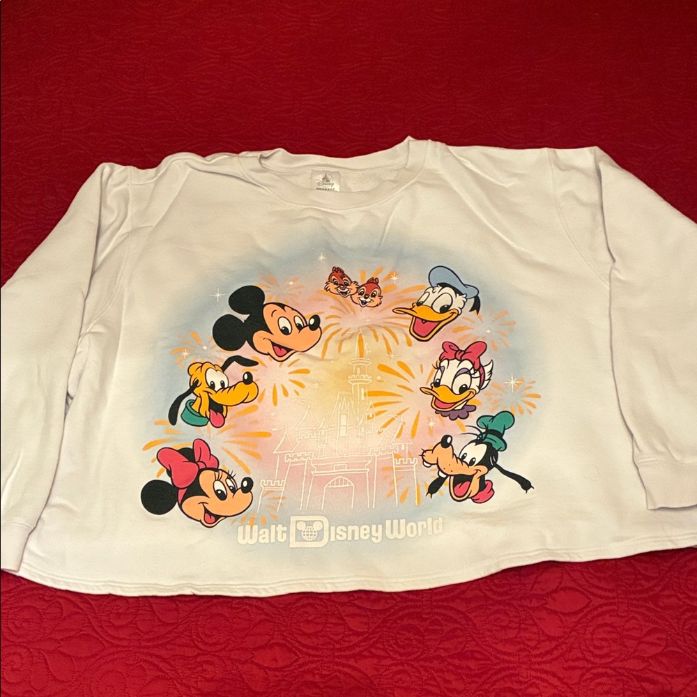Disney World Women’s Character Crop Sweatshirt Sz 3x